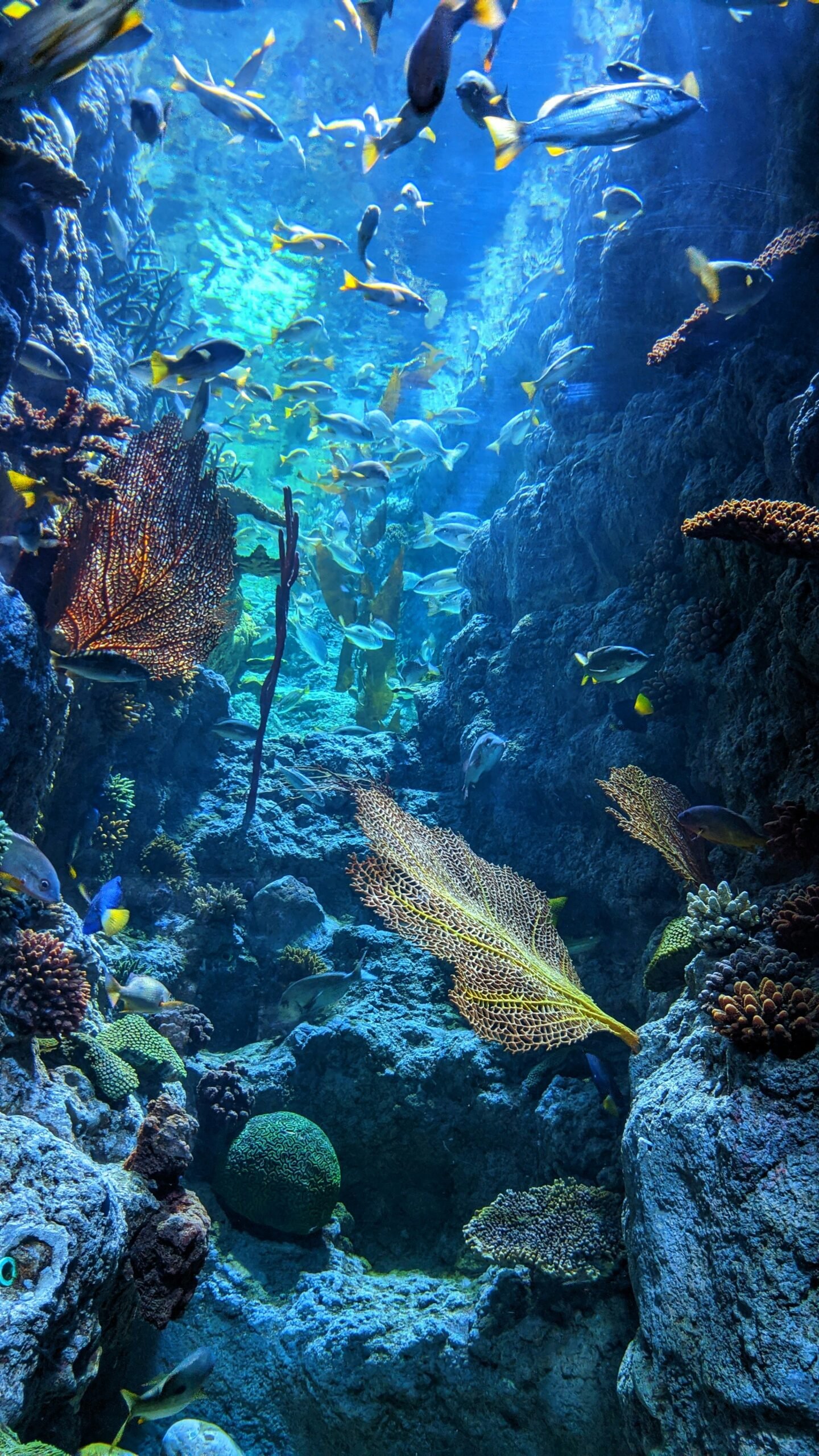 Deep underwater dive suggesting the detailed exploration of an environmental or social cause