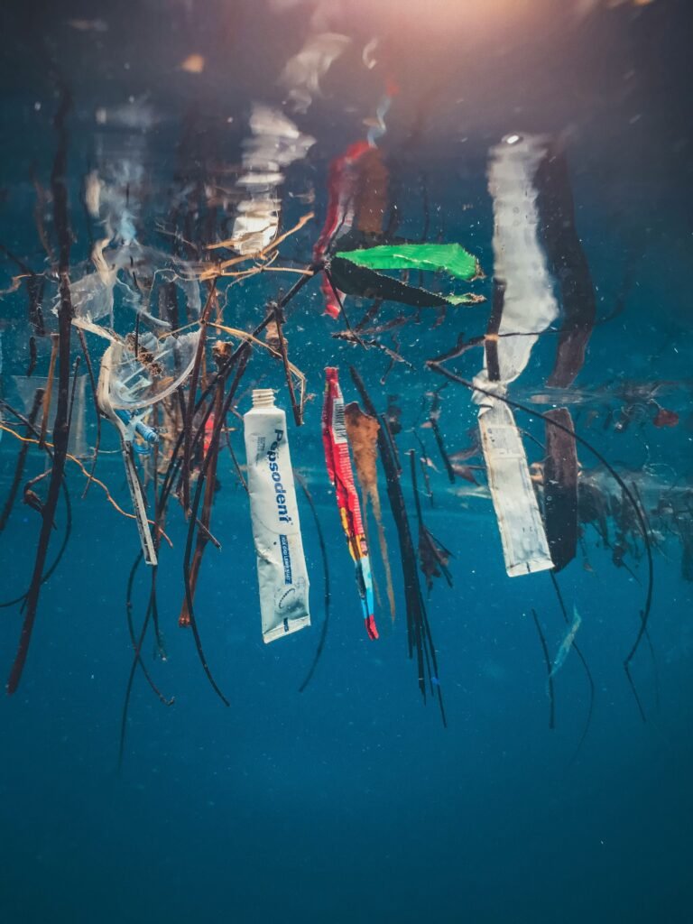 Plastic waste drifting in the ocean