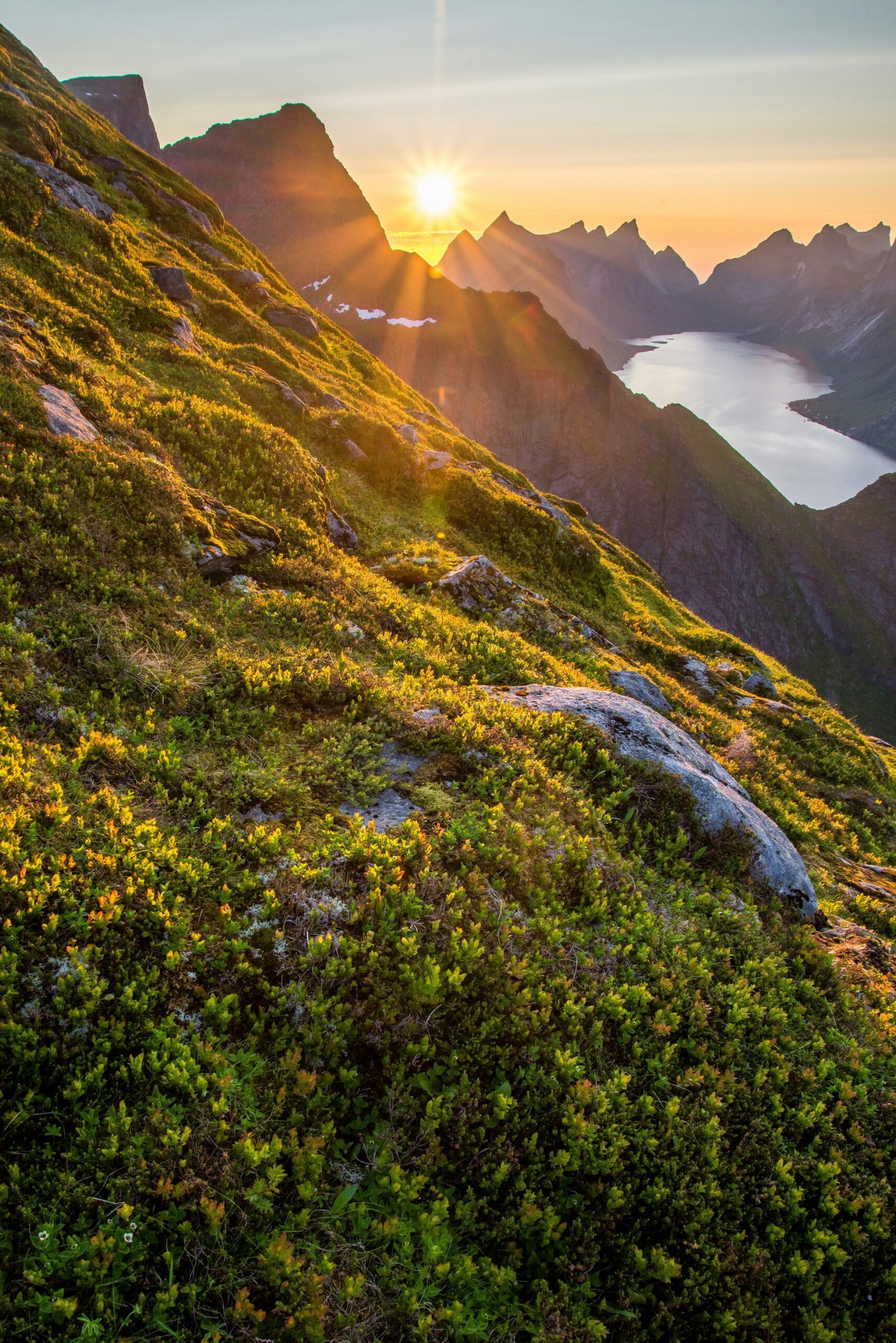 Sunrise over a natural landscape representing the alignment between brand and impact mission