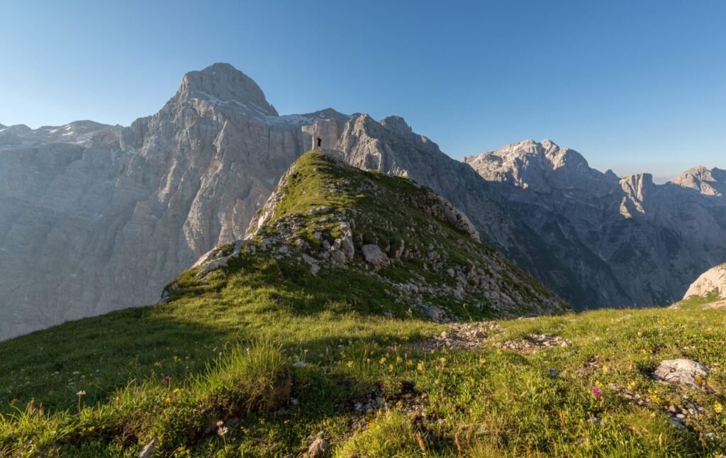 Alpege
